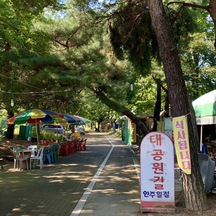 서울대공원 야외 포차&산책