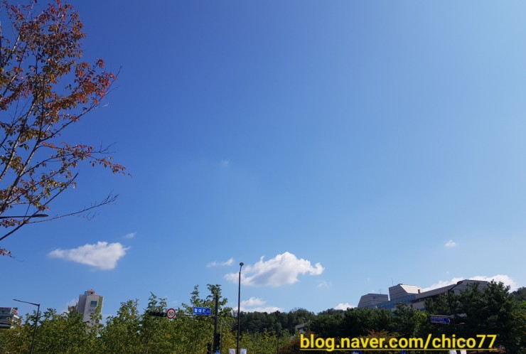  도서관 휴관일 깜박ㅡ.ㅡ
