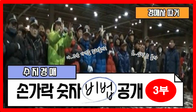  경매사가 알려드립니다!  수지경매 손가락숫자 비법 3부