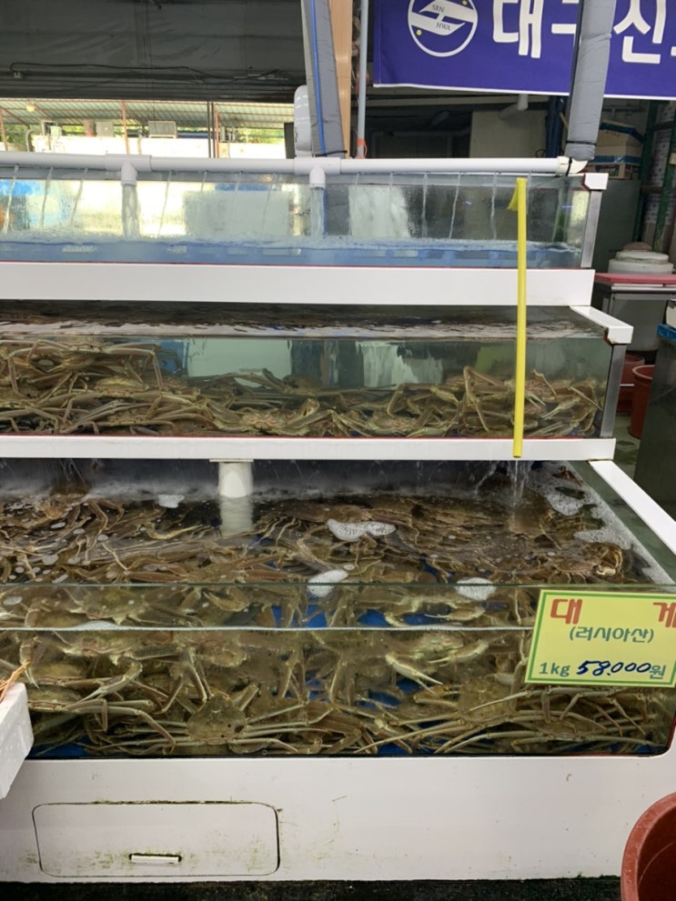  신선한 바다를 그대로 맛볼수 있는 대구 매천 수산시장 후기