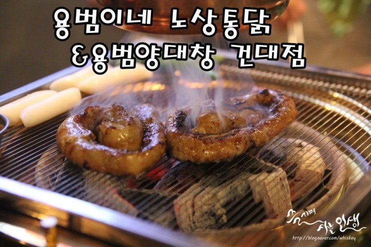  [건대 고기집] 건대 곱창 맛나는 용범이네 노상통닭&용범양대창 건대점