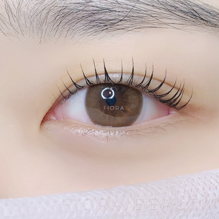  대구속눈썹펌잘하는곳.대구뷰러펌 피오라뷰티샵