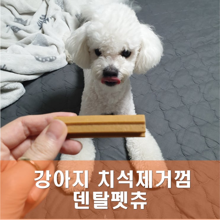 강아지 입냄새 제거엔 퍼피랑키티랑 덴탈펫츄 덴탈껌이 최고!