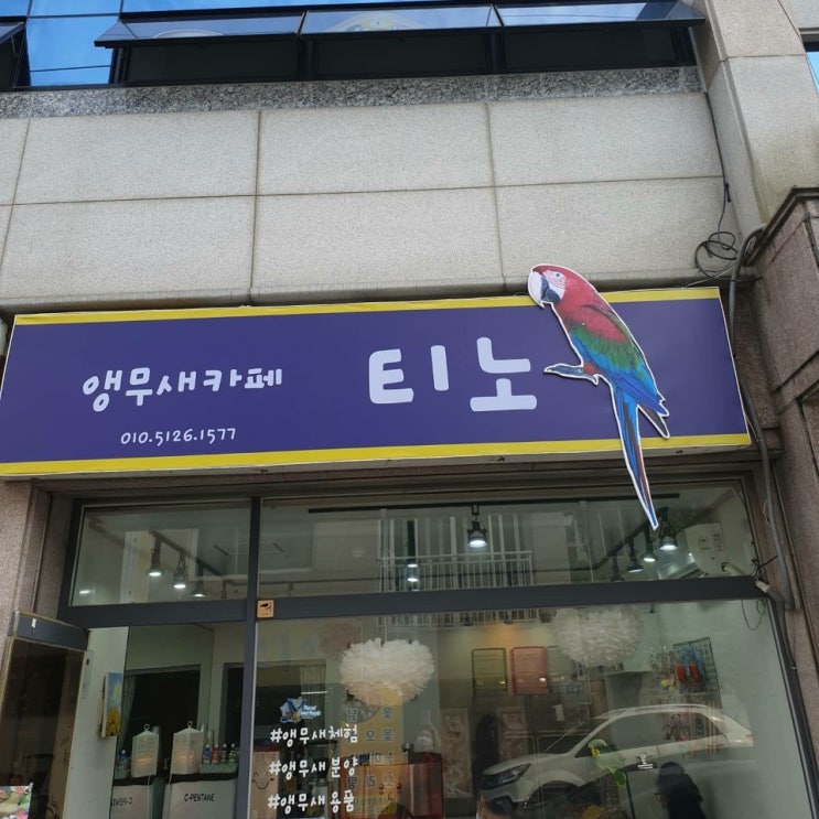  광주 앵무새 카페 티노 [방문 후기]