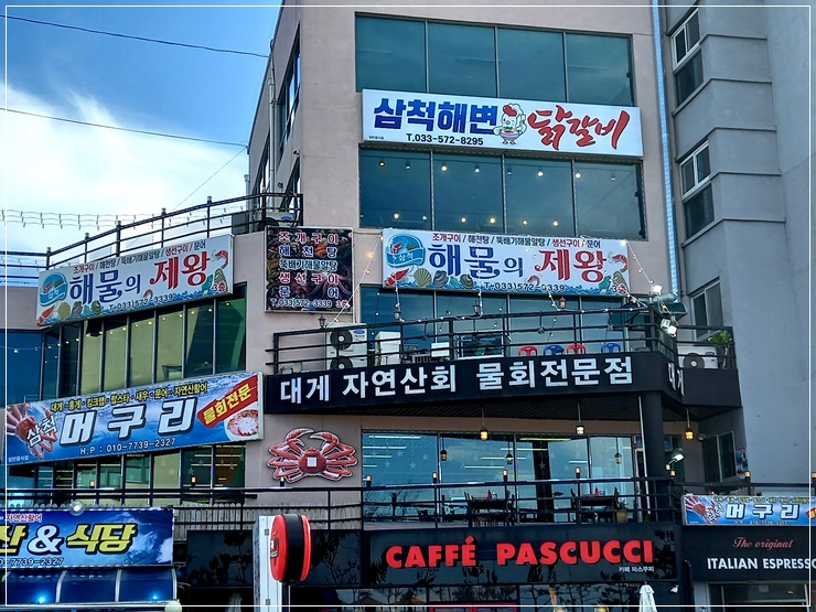  삼척쏠비치맛집 해물의제왕 삼척해변맛집