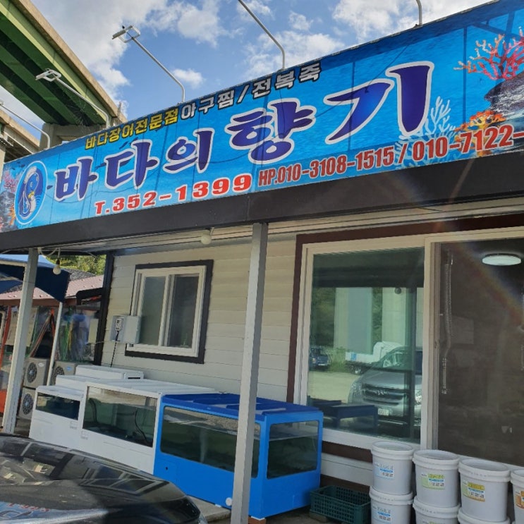 전라북도 장수군 [바다의 향기]/ 제철에만 먹을수있는 대하소금구이 맛집!