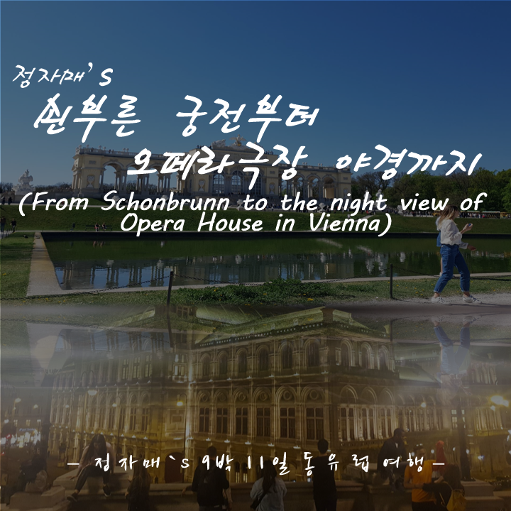  #20 쇤부른 궁전에서 오페라극장의 야경까지