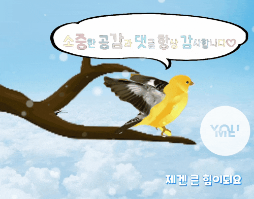  구글 애널리틱스 티스토리 블로그에 연결하기(추적id위치확인)