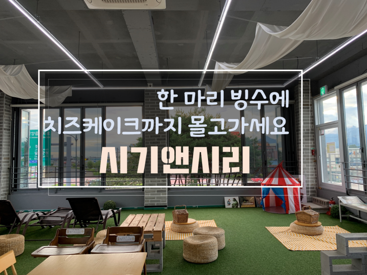  광주근교카페 담양카페 죽녹원근처 넓은 공간 잔디밭에서 한마리 빙수 몰고가세요, 시기앤시리
