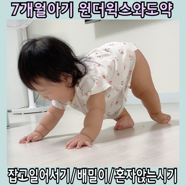  육아일기 생후 7개월 아기발달 원더윅스기간 잡고일어서기 혼자앉는시기 슈너글 탈출