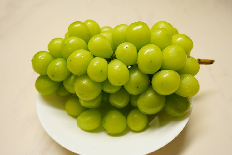  망고포도 샤인머스캣 (Shine Muscat) 먹어봤어요! 추석선물 추천