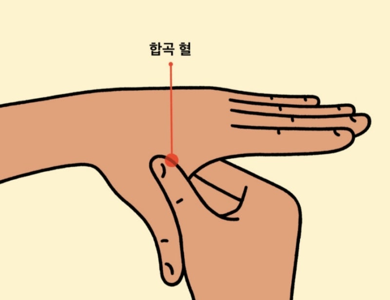 숙취해소에 좋은 지압법