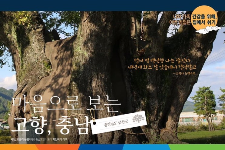 마음으로 보는 고향, 충남 금산군 | 충남도청페이스북