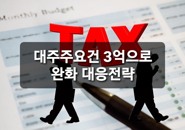  대주주 요건 완화 정책 대응전략.