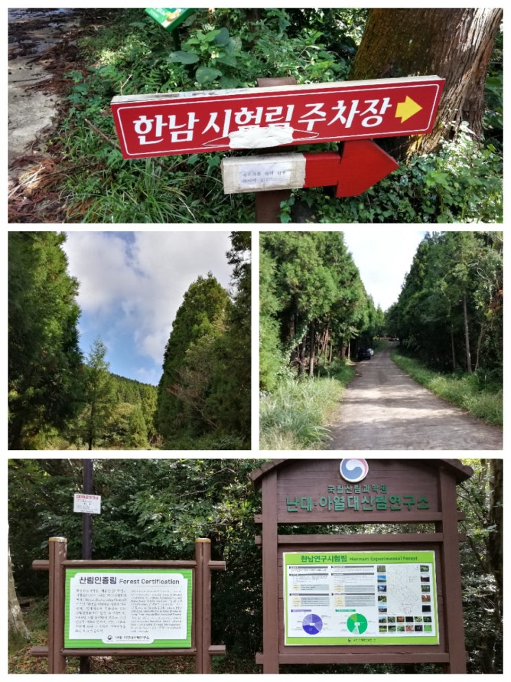  사려니오름을 품은 한남연구시험림