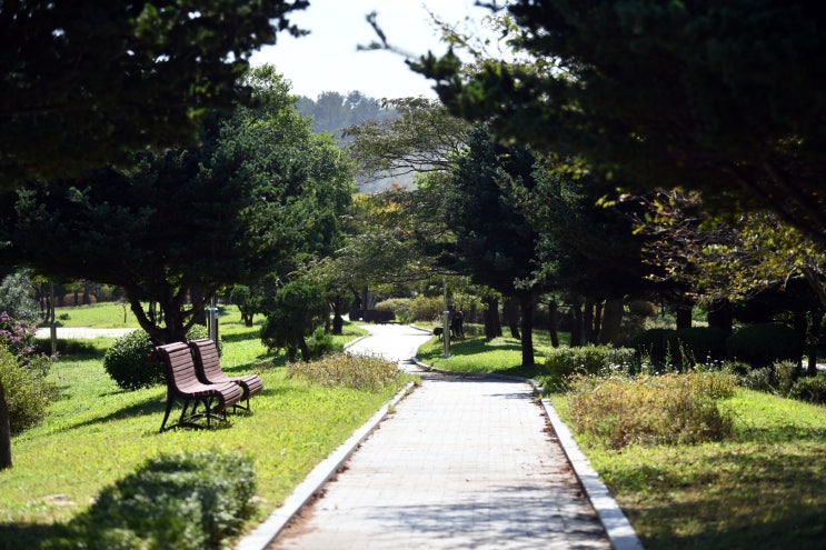 나만 알고 싶은 정원 속초 설악해맞이 공원 분수공원 나만 알고 싶은 정원 속초 설악해맞이 공원 분수공원