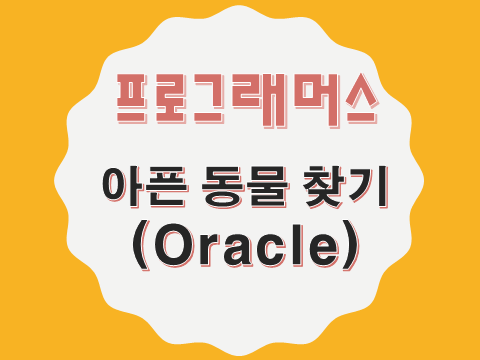  [프로그래머스 - Oracle] 아픈 동물 찾기 (59036)
