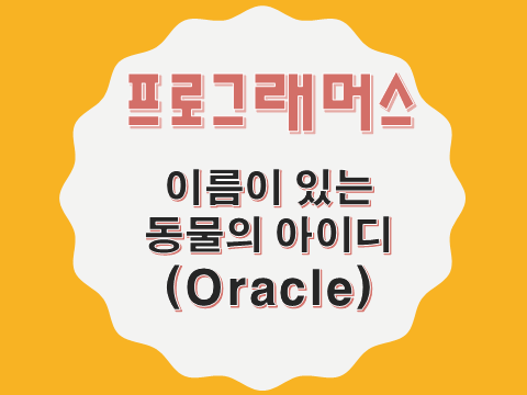  [프로그래머스 - Oracle] 이름이 있는 동물의 아이디 (59407)