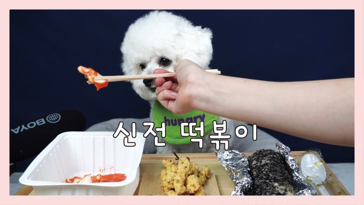 신전 떡볶이 강아지 수제간식 펫푸드 만들기