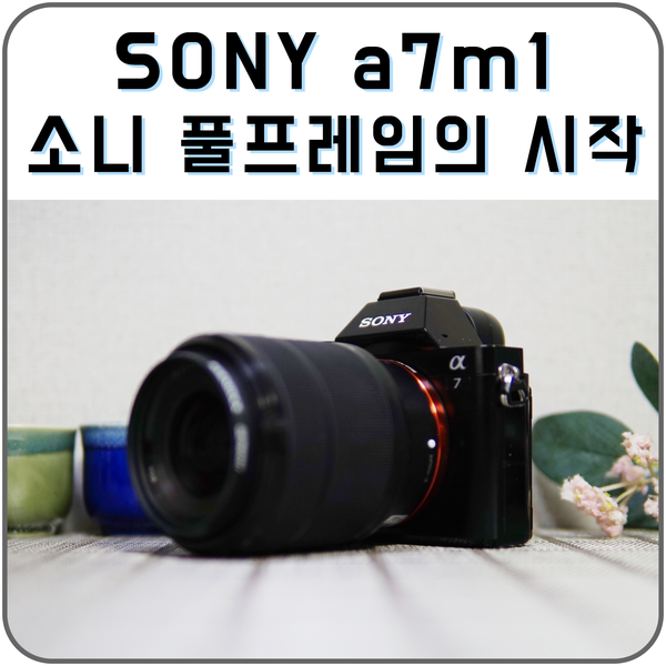풀프레임 미러리스의 시작, 소니 a7m1 1세대