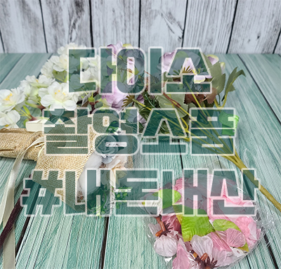  다이소 촬영소품, 사진의 퀄리티를 높여보자
