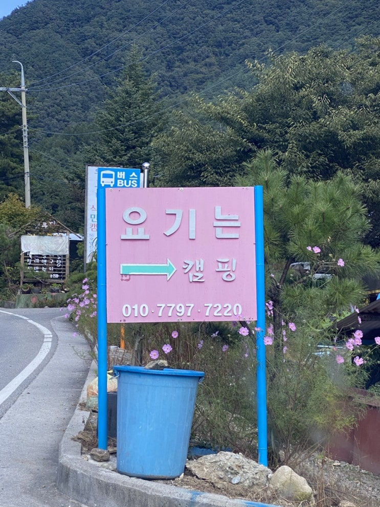  영월 캠핑장 요기는 캠핑장