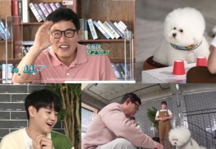  양요섭나이 이경규 '개는훌륭하다' 야바위 천재견 토토와 진검 승부