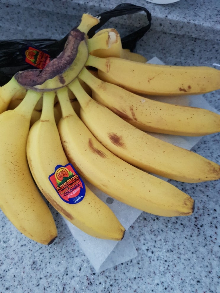 0928 다이어트 식단 (바나나데이)