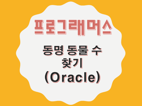  [프로그래머스 - Oracle] 동명 동물 수 찾기 (59041)