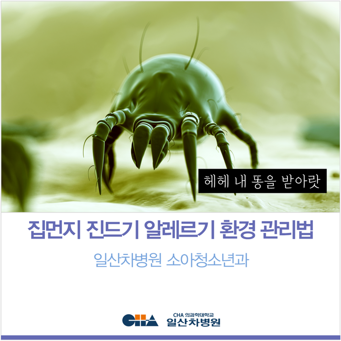 대구침대청소와 집먼지 진드기 알레르기가 심한 고객님... 정말 걱정입니다
