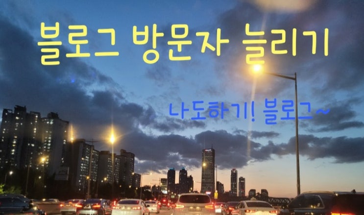  블로그 방문자 늘리기! 네이트 검색등록