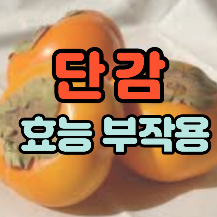 단감 효능 부작용 칼로리 보관법 전부 알려드릴게요