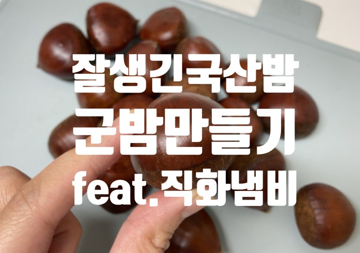  < 밤에 대한 모든 것 > 국산밤이 최고야! 늘 새로워! 짜릿해!