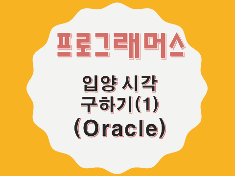  [프로그래머스 - Oracle] 입양 시각 구하기 1 (59412)