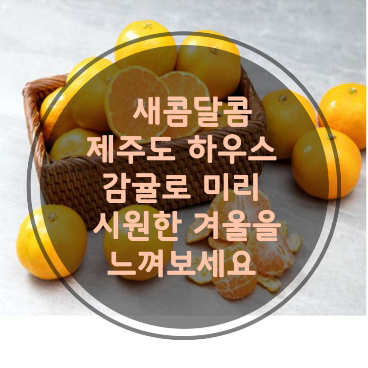  달작지근 새콤달콤 과즙풍부 GAP인증 하우스감귤