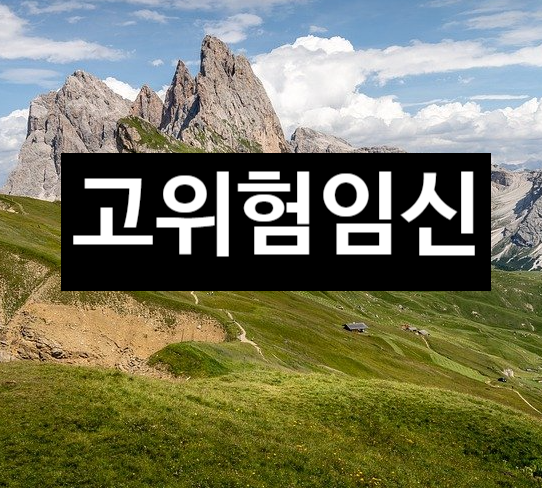  고위험 임신에 대하여