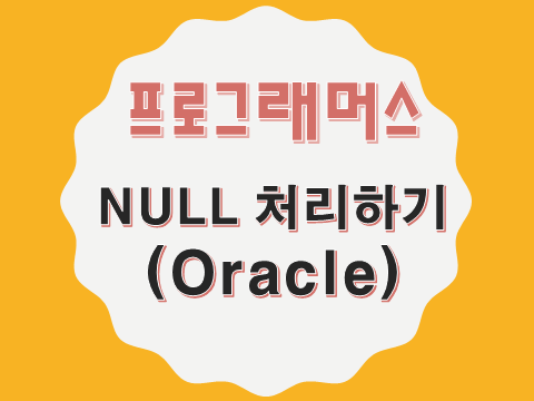  [프로그래머스 - Oracle] NULL 처리하기 (59410)