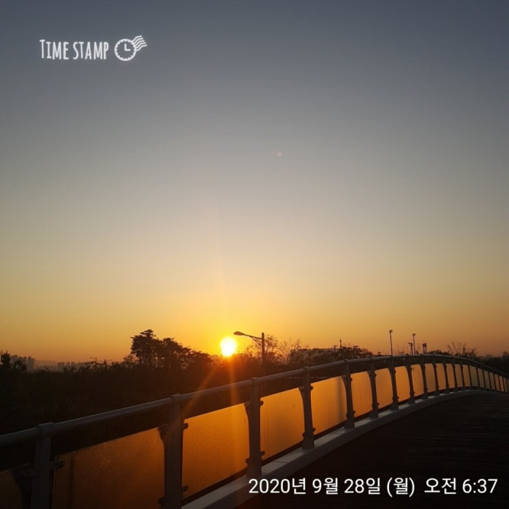  [송도 부자아빠 미친 100일 - 31일차]청울림과 함께하는 100일 도전