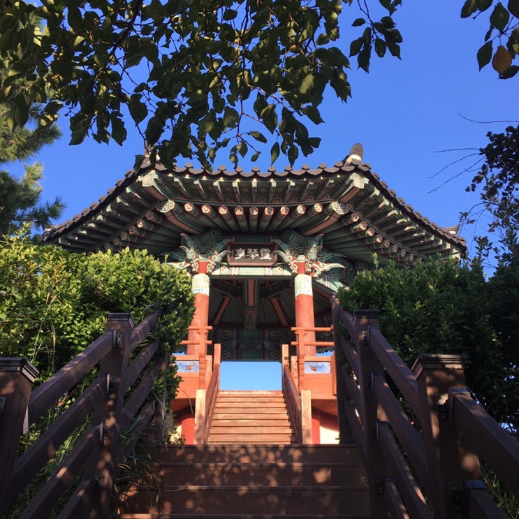  속초 중앙 시장 근처 영금정