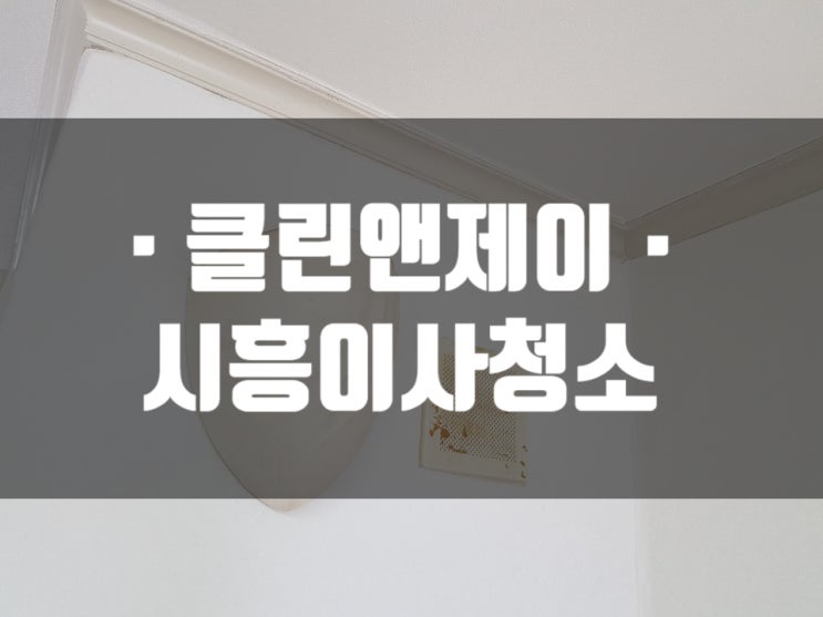 시흥청소전문 꼼꼼한 서비스 받고싶다면