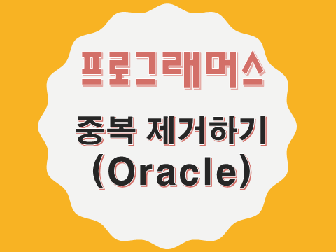  [프로그래머스 - Oracle] 중복 제거하기 (59408)