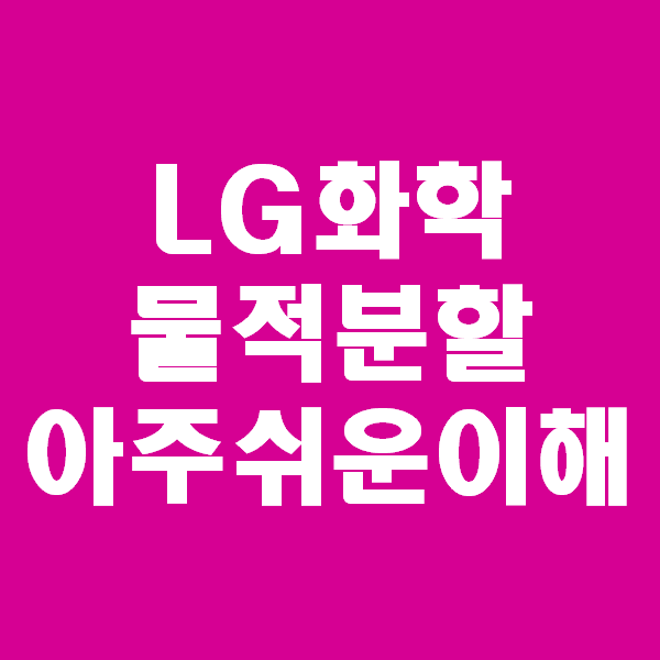  <회계팀 하는일> 회계실무진이 알려주는 엘지화학, LG화학 물적분할 설명