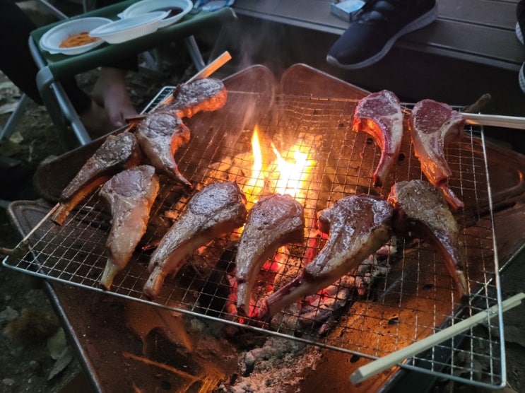  캠핑의 꽃 숯불 바베큐 양고기,양갈비,양꼬치,가을전어,새우 구이