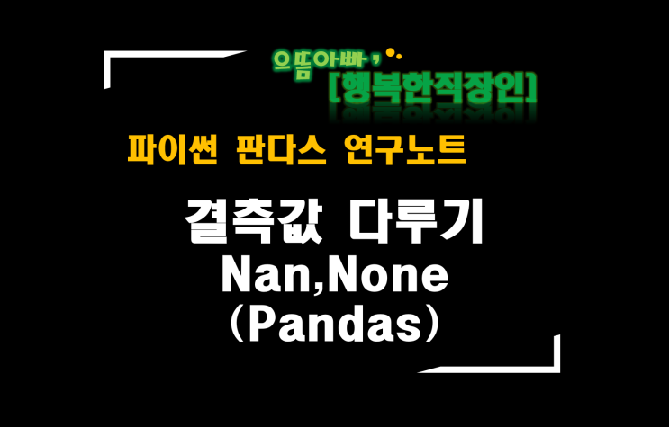  [판다스 연구노트] 결측값 다루기(NaN,None)