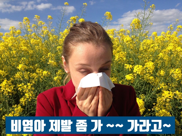  세라펩타제 효능, 부작용과 지긋지긋한 비염과의 관계 알아볼까요?