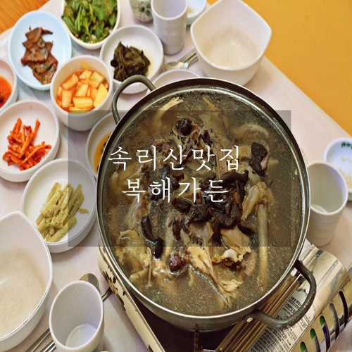 속리산맛집 클럽디속리산CC맛집 보은백숙맛집 복해가든