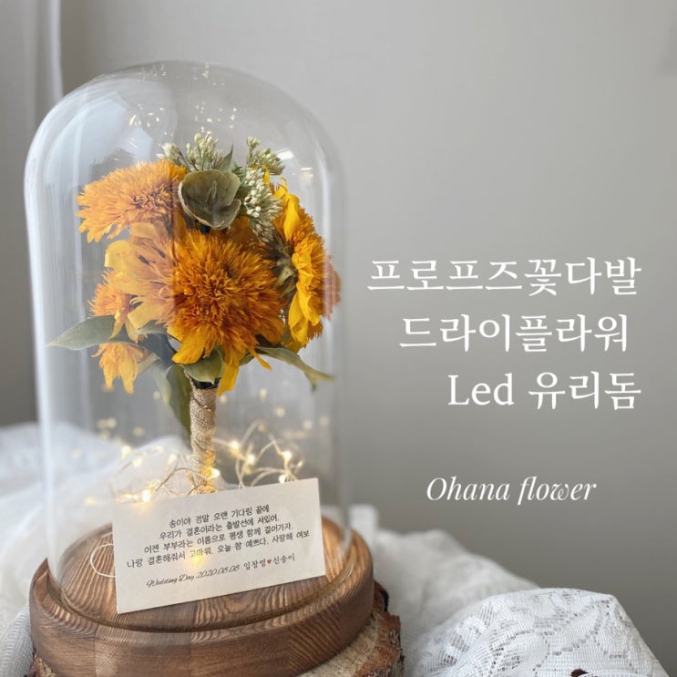  프로포즈 꽃의 재탄생 , 드라이플라워 유리돔:: 부산 수영 해운대 플라워스튜디오 Ohanaflower