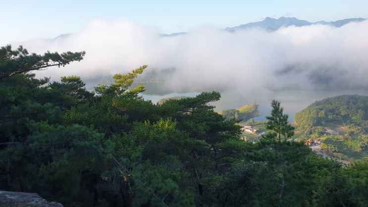  제천 금수산에 올라 청풍호를 배경으로 뷰가 멋집니다.