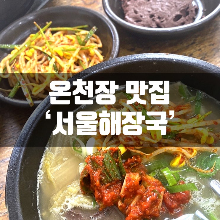  온천장 유선집 서울해장국에서 선지로 해장했어요 선지맛집