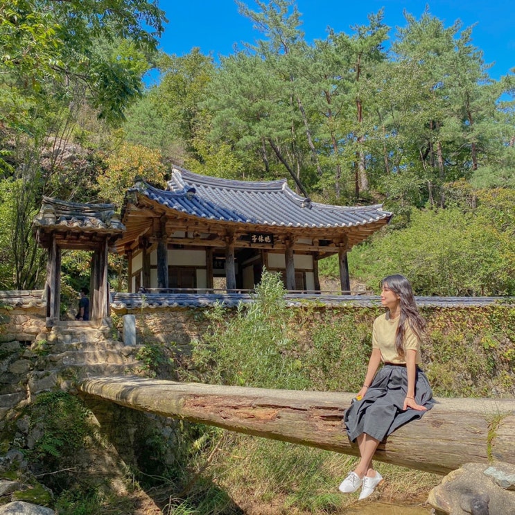 안동 가볼만한곳 / 안동 여행코스 : 안동 만휴정, 월영교, 낙동물길공원 (비밀의숲), 맘모스제과, 안동 헛제사밥 까치꾸멍집